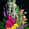daisies412
